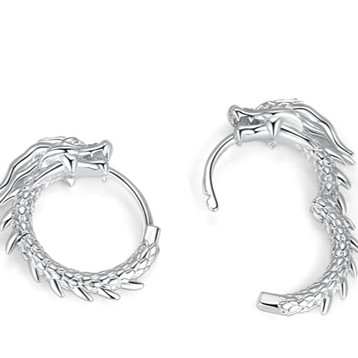 メンズピアス 竜の環ピアス