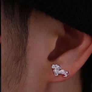 メンズピアス 福を招く幸運の神獣ピアス
