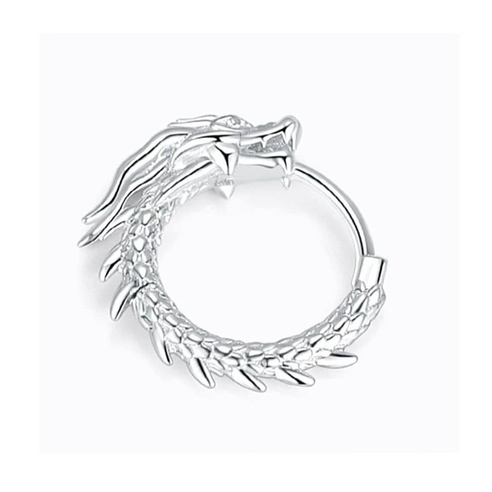 メンズピアス 竜の環ピアス